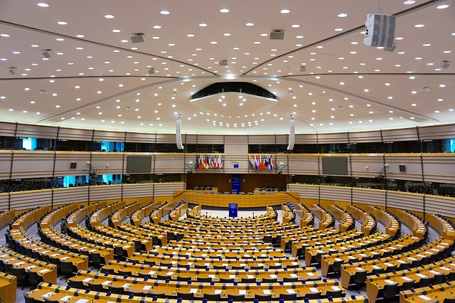 Traduzioni tecniche per il parlamento europeo